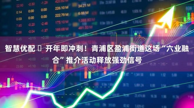 智慧优配 ​开年即冲刺！青浦区盈浦街道这场“六业融合”推介活动释放强劲信号