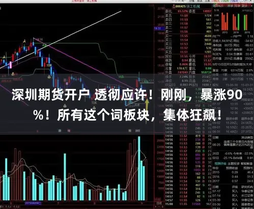 深圳期货开户 透彻应许！刚刚，暴涨90%！所有这个词板块，集体狂飙！