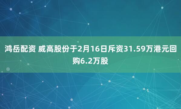 鸿岳配资 威高股份于2月16日斥资31.59万港元回购6.2万股