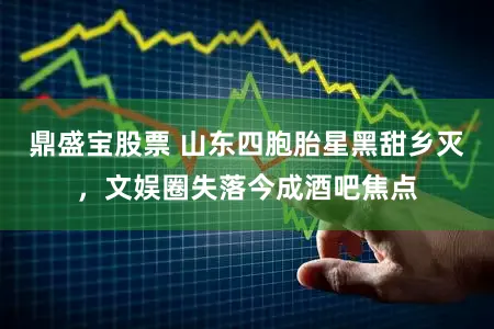 鼎盛宝股票 山东四胞胎星黑甜乡灭，文娱圈失落今成酒吧焦点