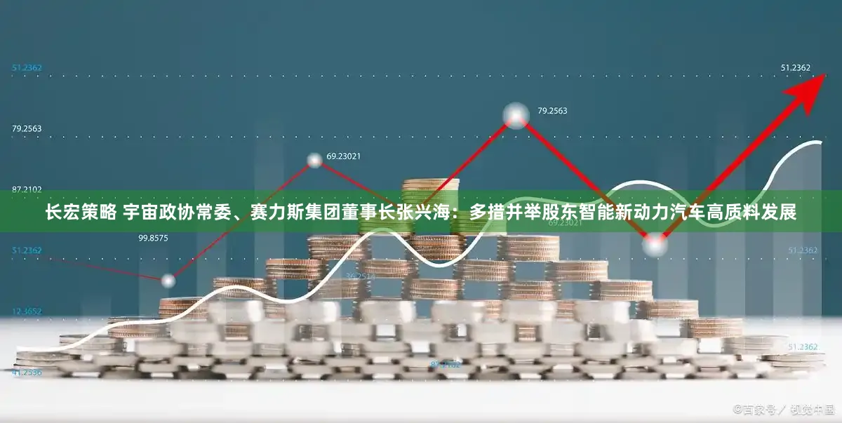 长宏策略 宇宙政协常委、赛力斯集团董事长张兴海：多措并举股东智能新动力汽车高质料发展