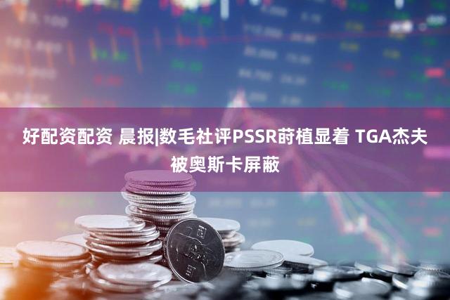 好配资配资 晨报|数毛社评PSSR莳植显着 TGA杰夫被奥斯卡屏蔽