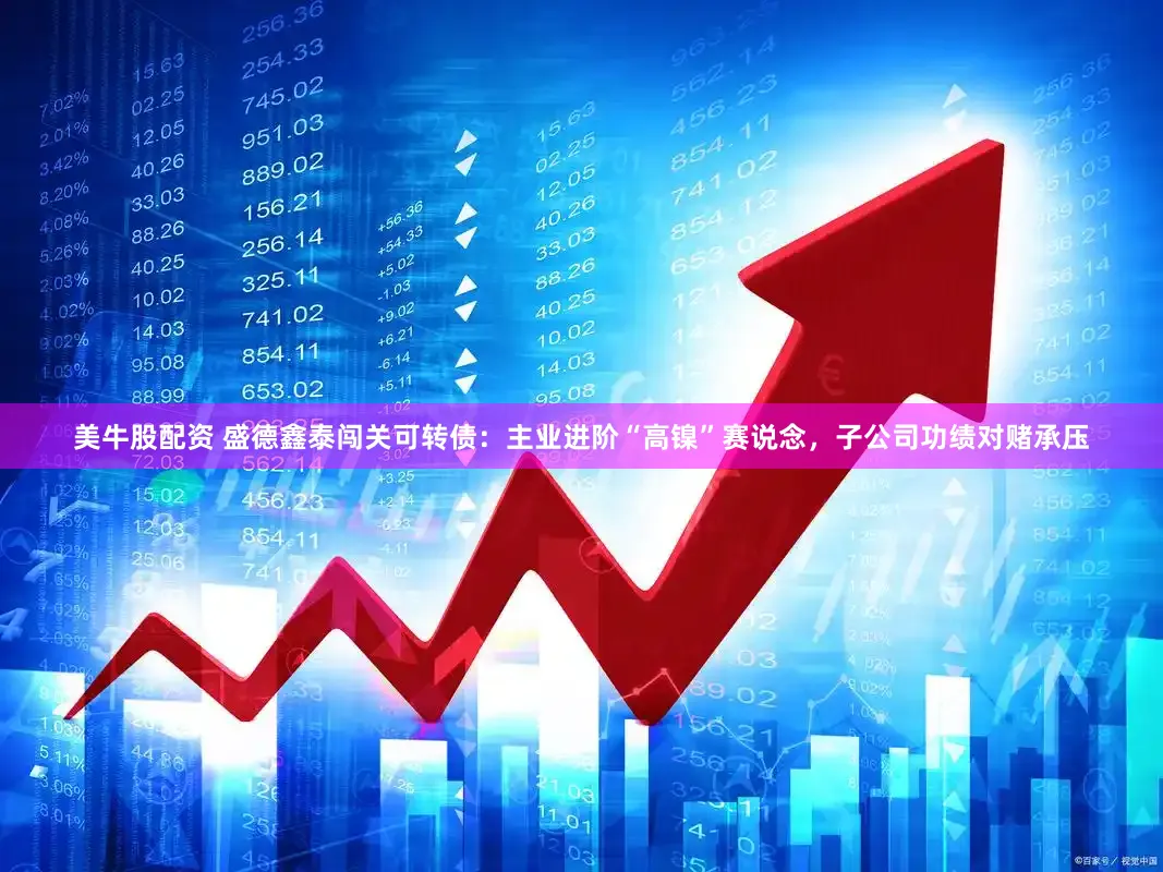 美牛股配资 盛德鑫泰闯关可转债：主业进阶“高镍”赛说念，子公司功绩对赌承压