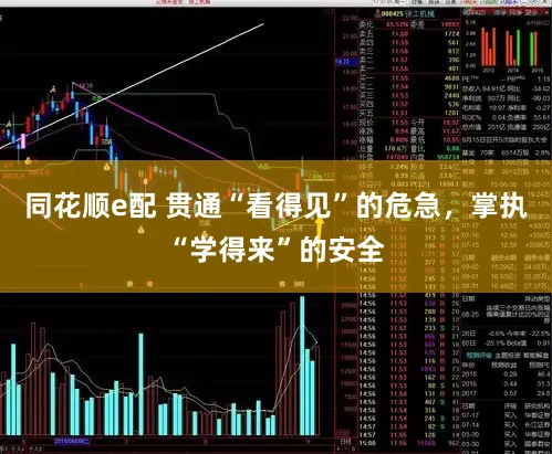 同花顺e配 贯通“看得见”的危急,掌执“学得来”的安全
