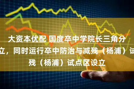 大资本优配 国度卒中学院长三角分院在沪成立，同时运行卒中防治与减残（杨浦）试点区设立