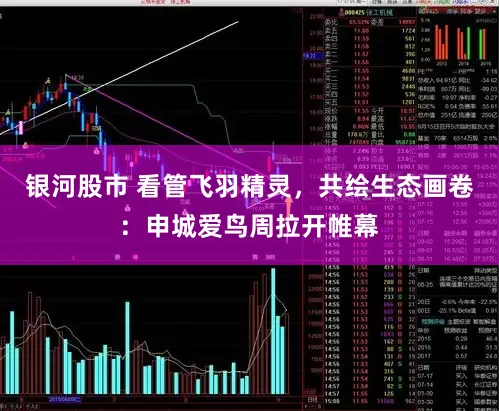 银河股市 看管飞羽精灵，共绘生态画卷：申城爱鸟周拉开帷幕