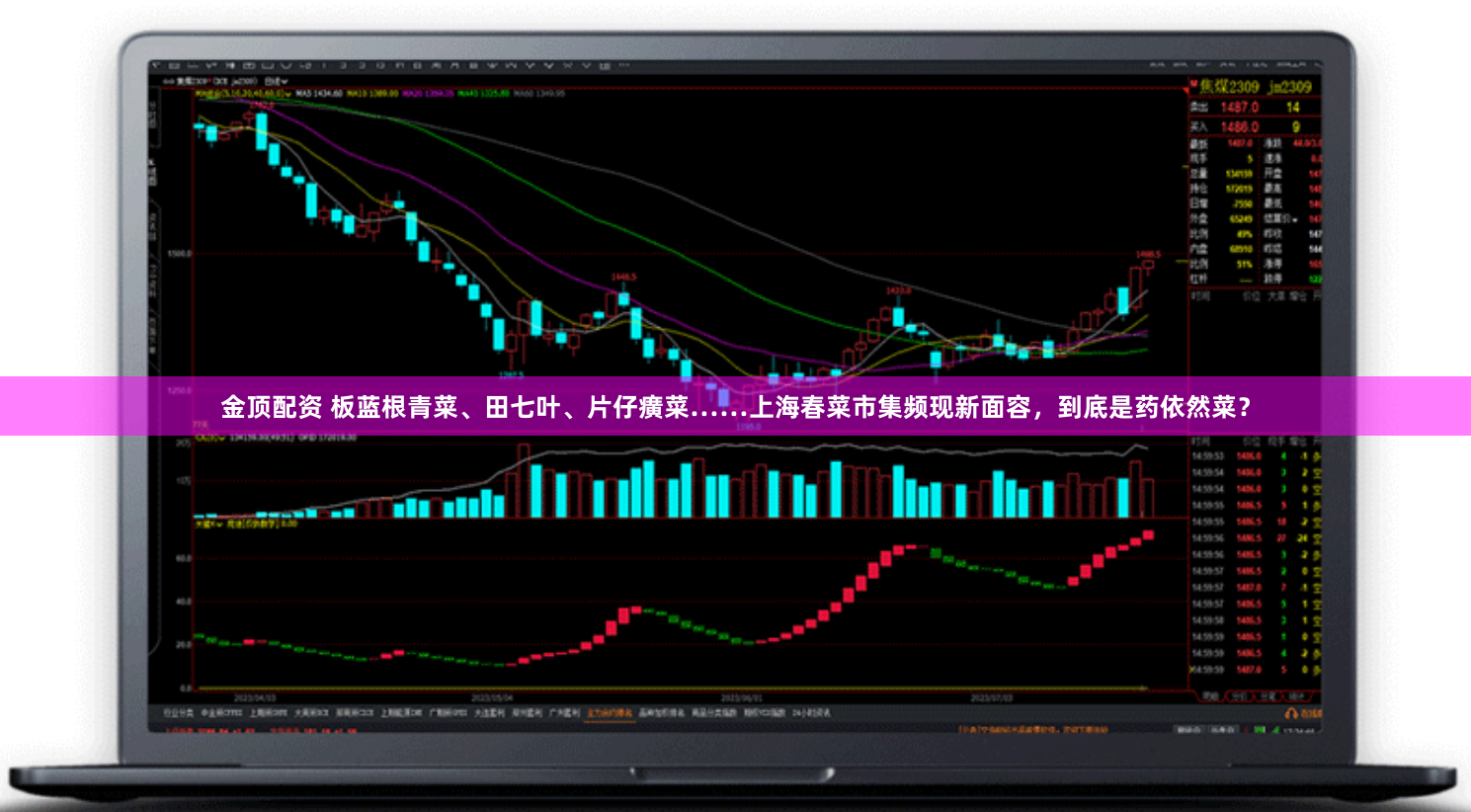 金顶配资 板蓝根青菜、田七叶、片仔癀菜……上海春菜市集频现新面容,到底是药依然菜?